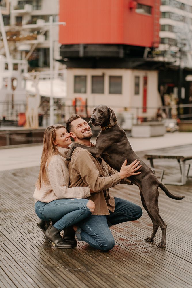Verspielter Hund springt während einer lustigen Fotosession auf einer Holzterrasse in die Arme seiner Besitzer.