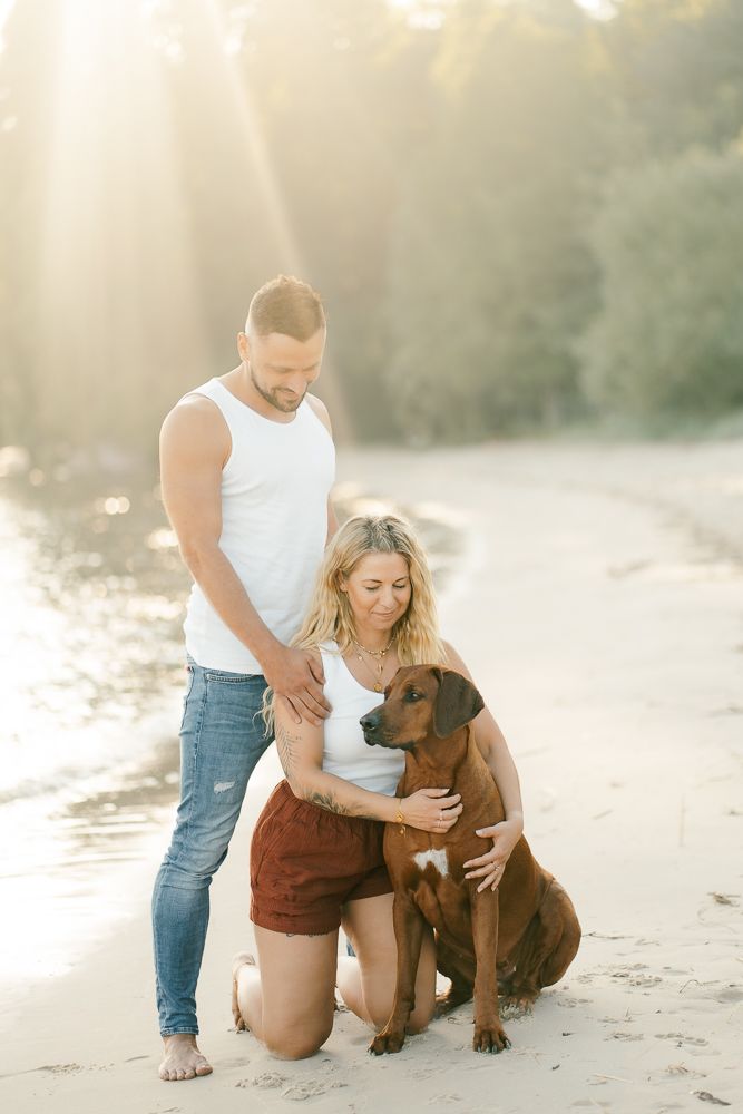 Couple poses with their brown dog on a sandy beach during golden hour photography session.