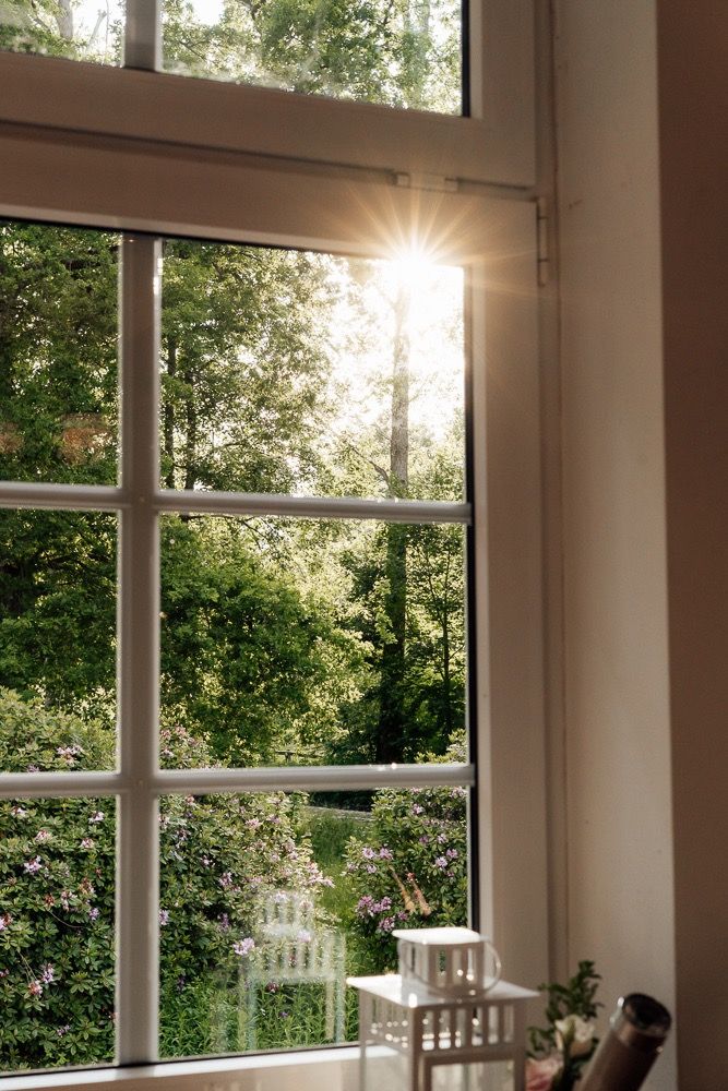 Sunlight streams through a divided window pane overlooking lush green trees, creating a peaceful morning ambiance.