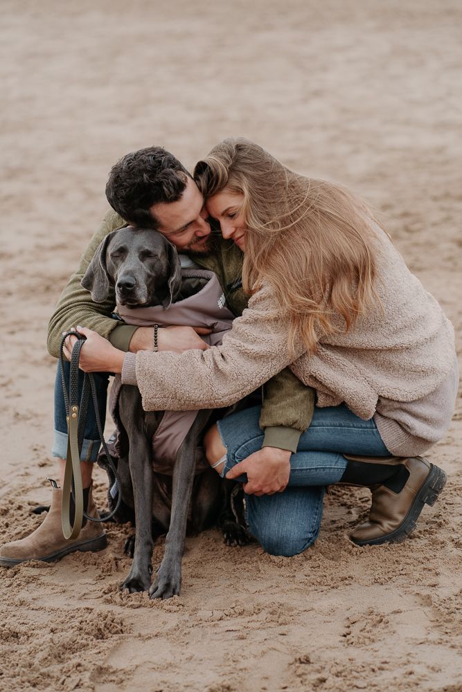 Süße Momente zwischen einem Paar und ihrem grauen Hund, die während eines Fotoshootings im Sand sitzen.