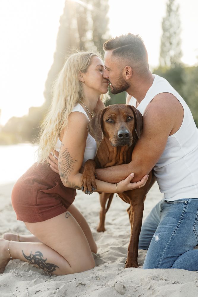A couple sits on a sandy beach with their brown dog during a sunny maternity photoshoot.