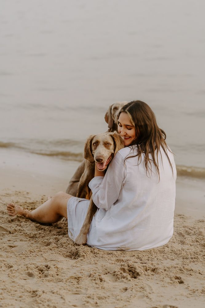 Hundefotografie Weimaraner Hamburg