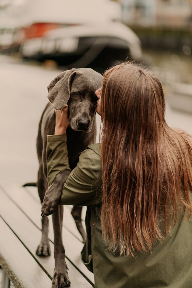 Hundefotografie in der Stadt Hamburg Speicherstadt