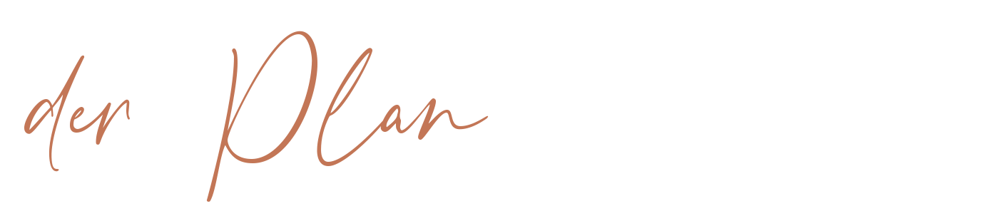 Handwritten coral pink text reading 'der Plan' against white background.