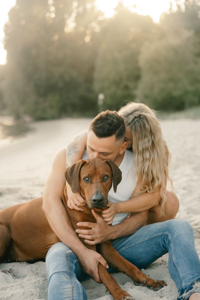 Couple cuddling with their Rhodesian Ridgeback dog on sandy beach at sunset.