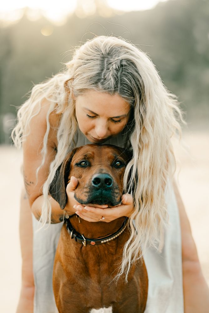 Close-up shots of person playing with brown dog's face in natural lighting.