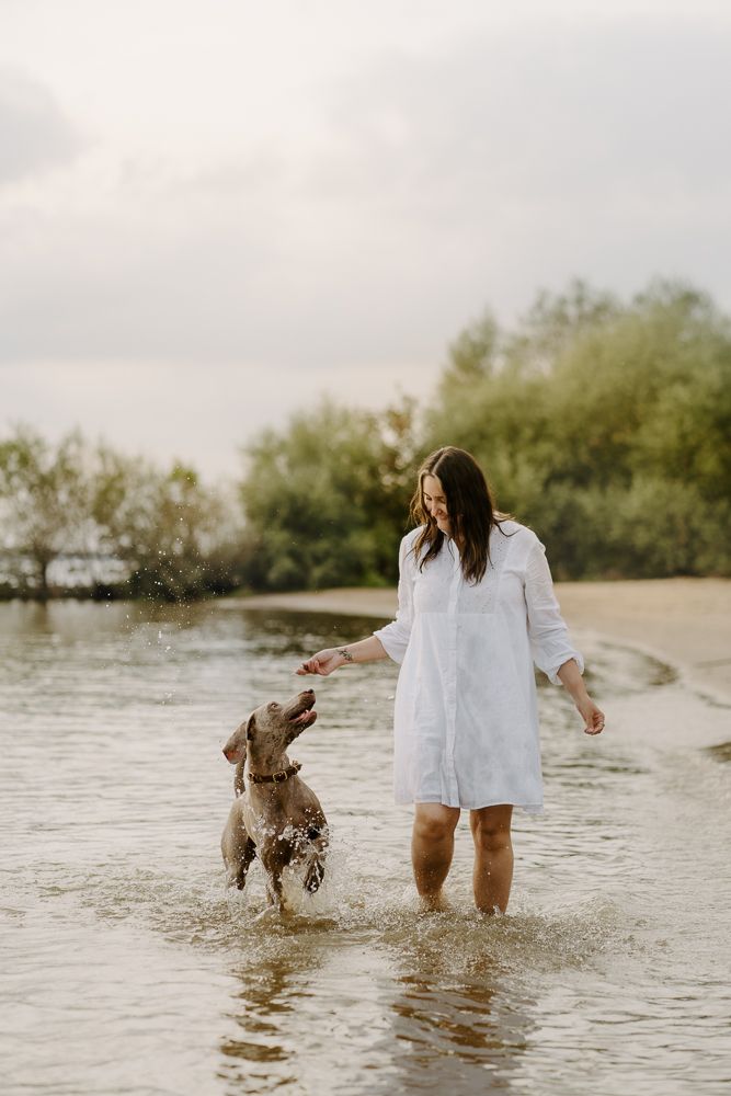 Two dogs splash and play in shallow water while walking along the shoreline.
