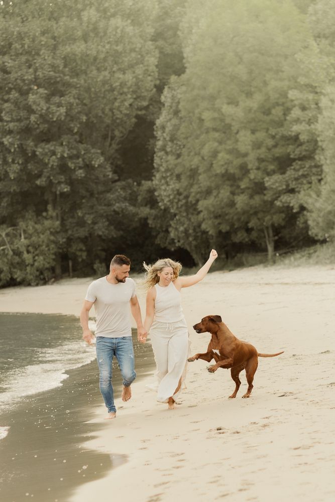 Couple runs playfully with their brown dog along a sunlit beach.