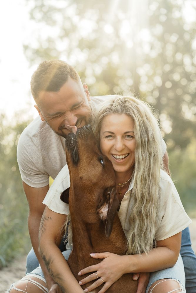 Family photos on a beach with a brown dog sharing joyful moments in golden sunlight.