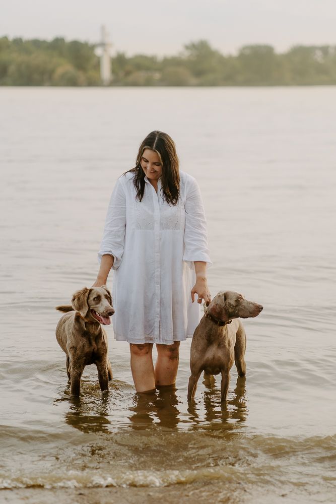 Dogs and their companion wading in shallow waters during a peaceful sunset.