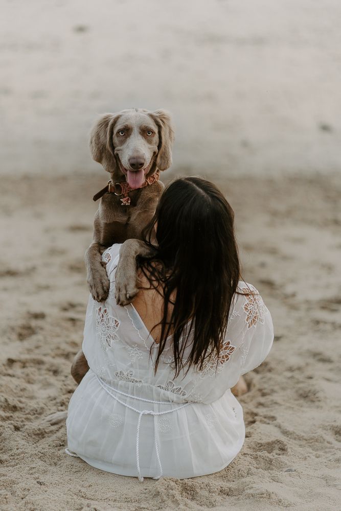 Joyful playtime at the beach with happy dogs.