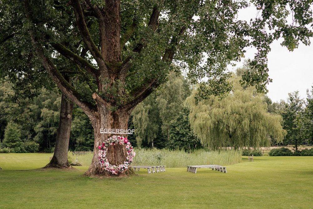 A large majestic oak tree with sprawling branches stands in a serene park setting on a sunny day.