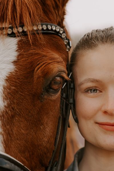 Pferdefotografie in Hamburg und Umgebung