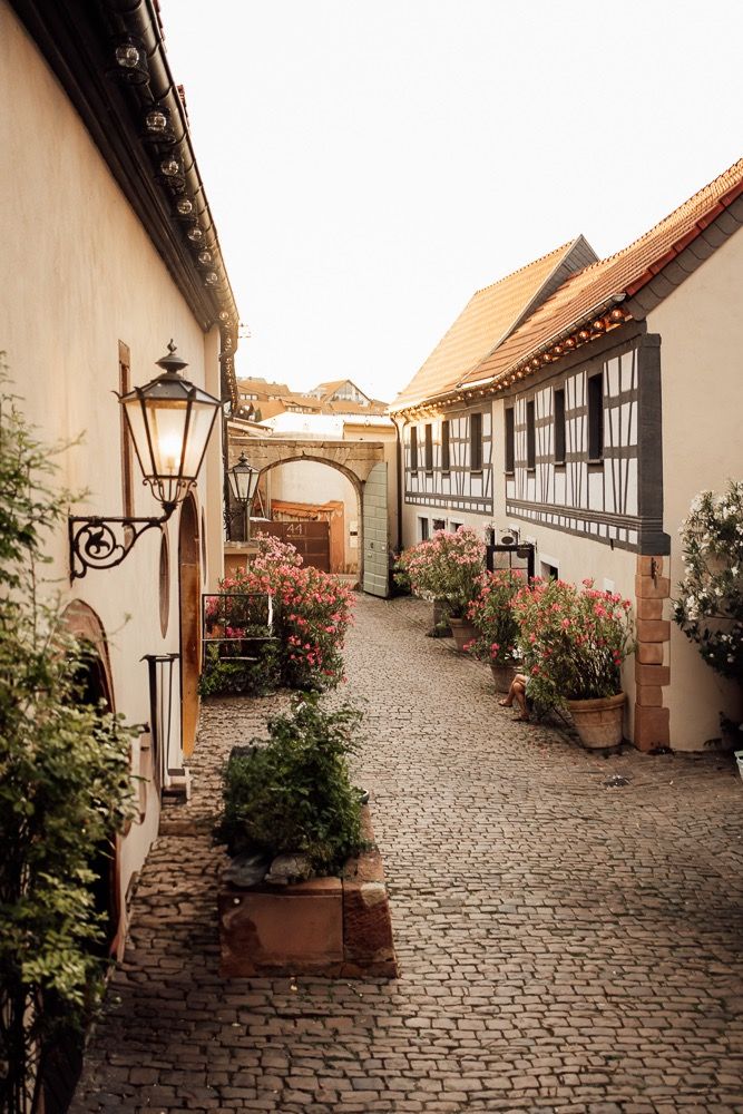 A charming cobblestone alley in a European village with white walls, vintage lanterns, and potted flowers along the path.
