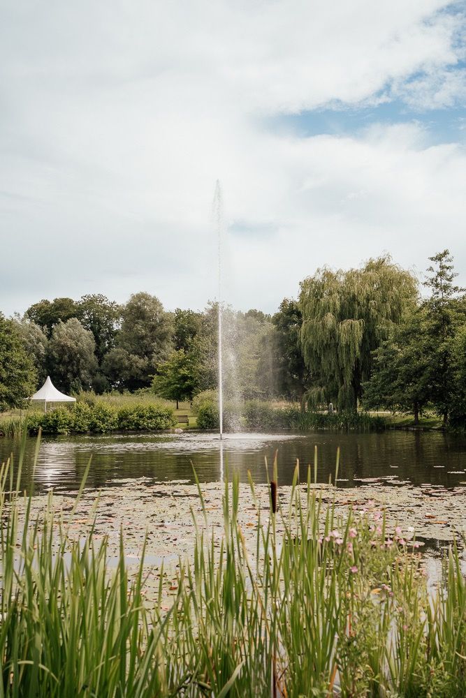 A tranquil pond with lily pads and a water fountain surrounded by willow trees and tall grass on a sunny day.