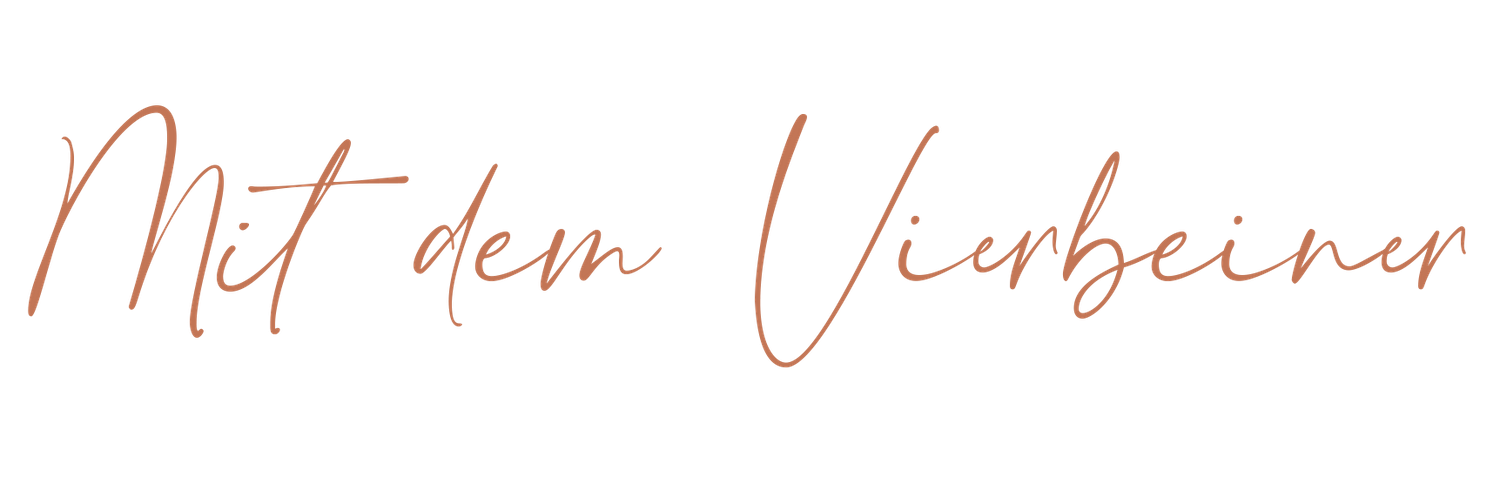 Hundefotografie in Hamburg