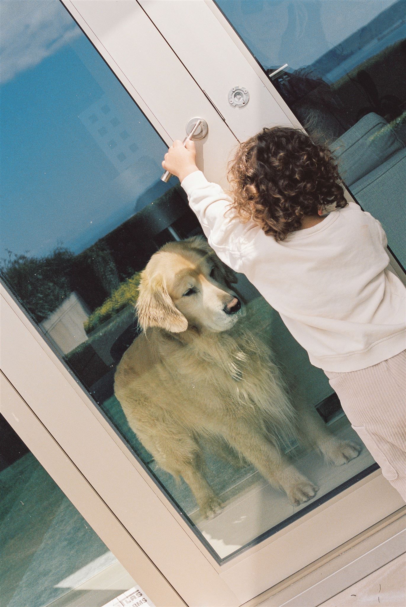 A toddler in white sweater reaching up to glass door where a Golden Retriever stands waiting on the other side.