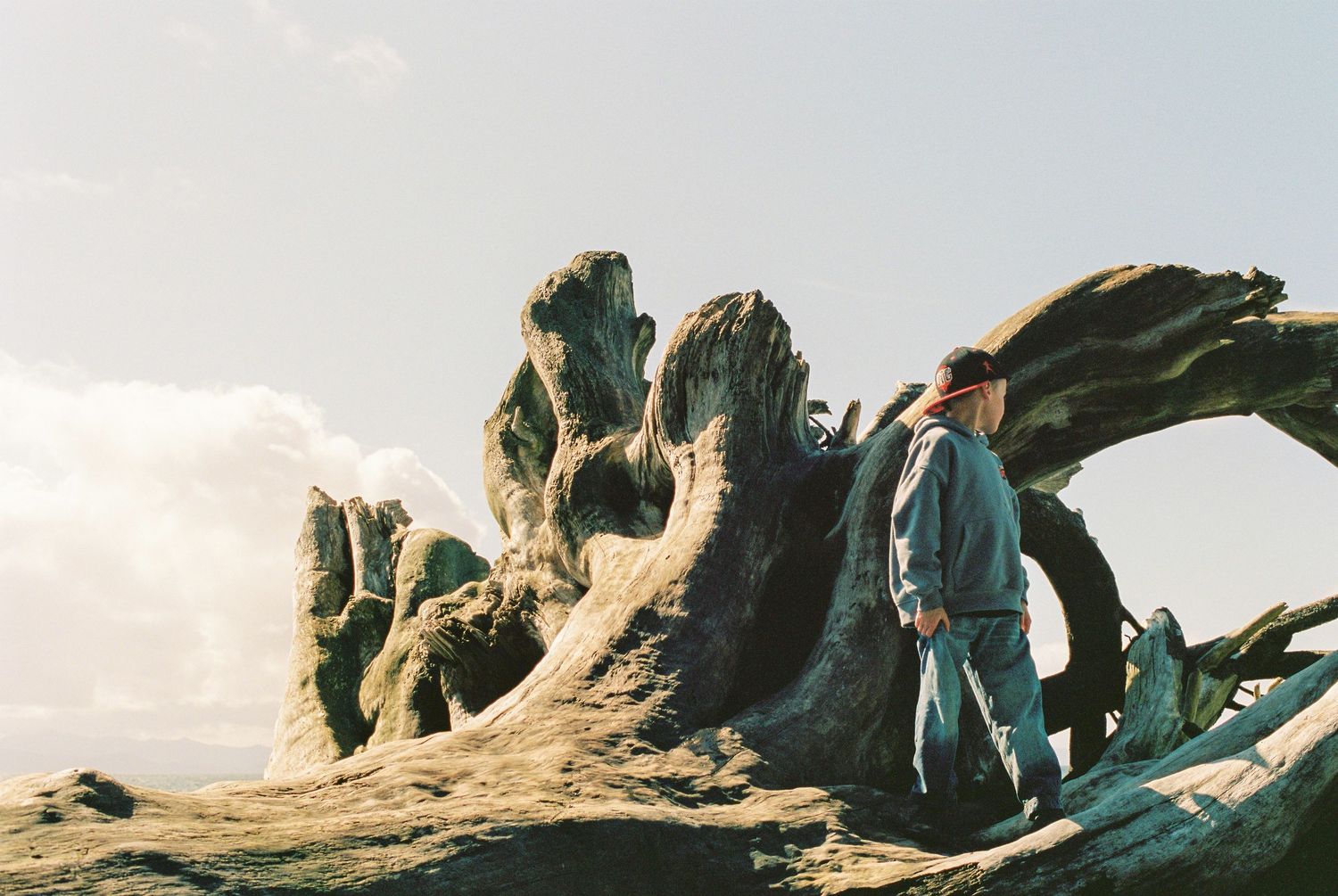 A boy on top of a giant driftwood log by the ocean captured on analog film in Victoria BC