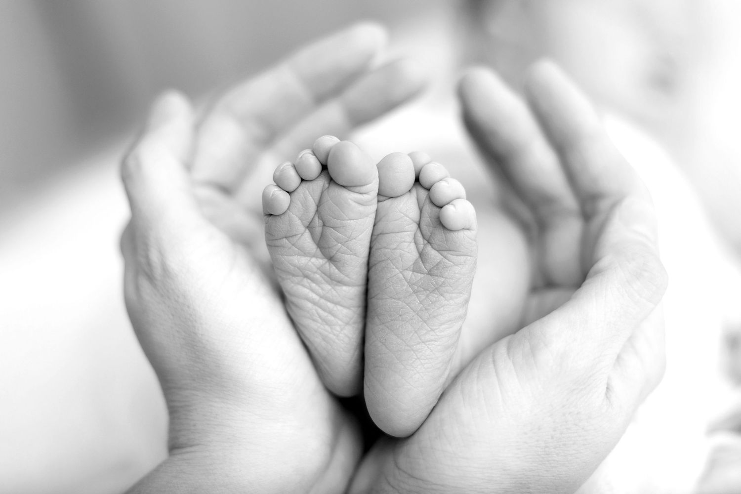 Black and white photo of a parent cradling tiny newborn baby feet in their hands.