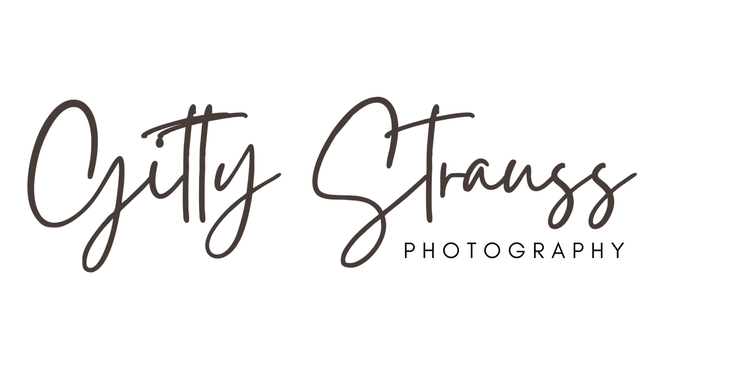 logo of gitty strauss photography