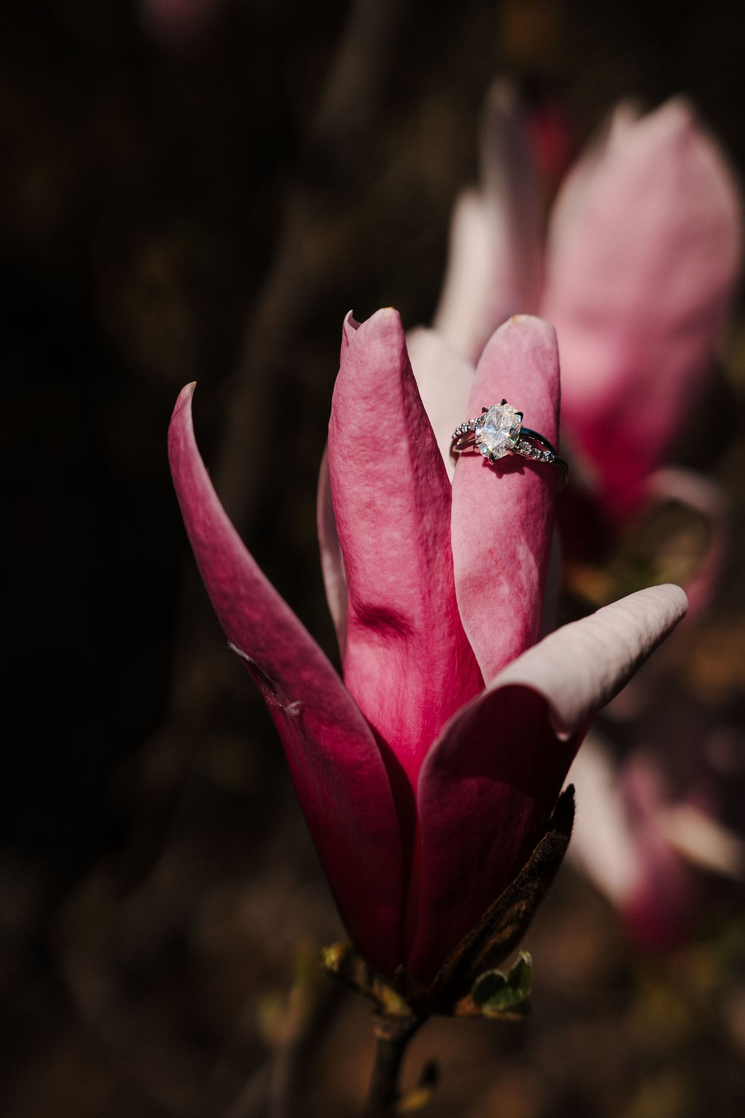 A sparkling diamond engagement ring resting on a vibrant pink magnolia bloom against a dark background.
