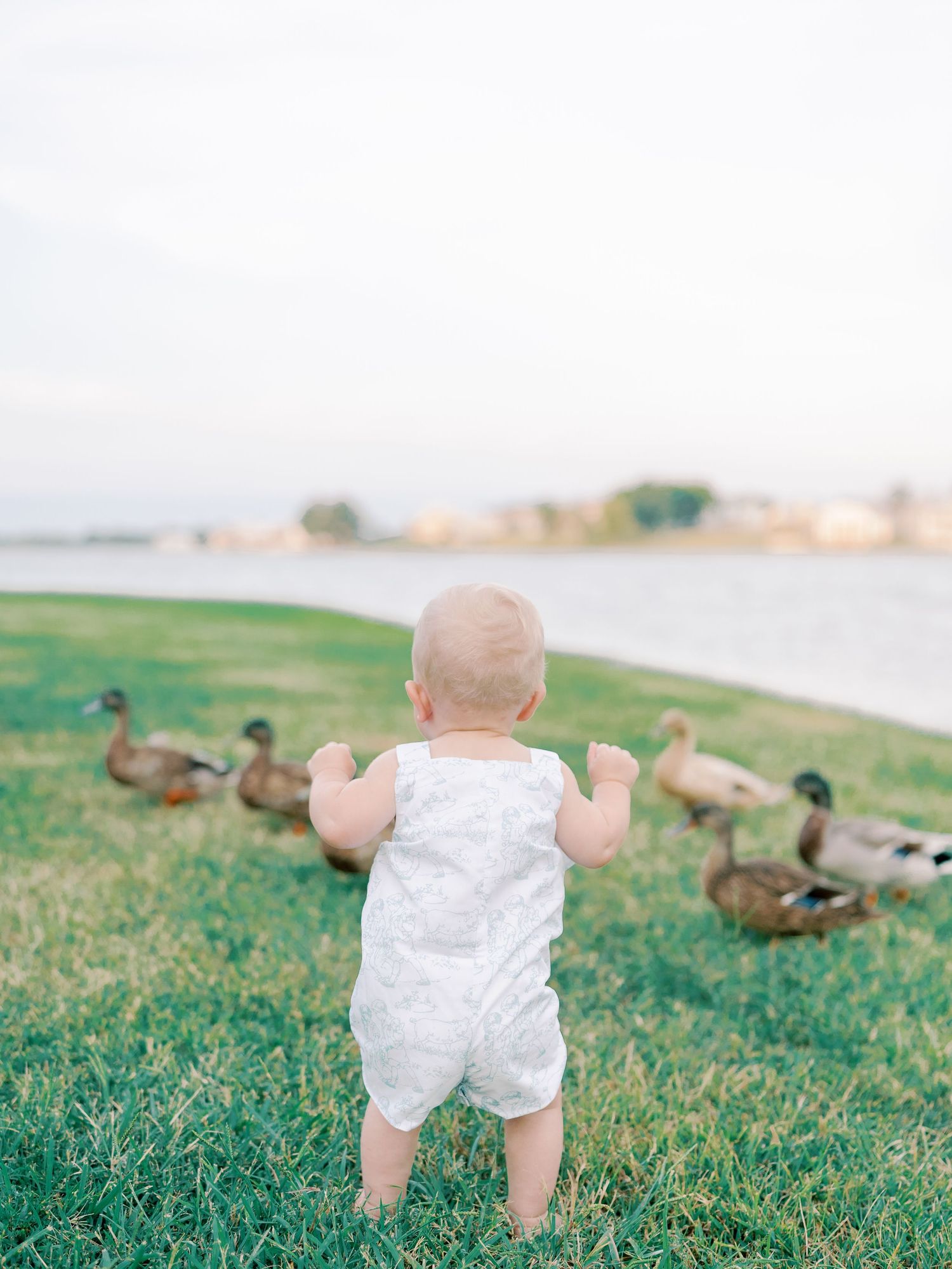 Baby in white romper exploring grassy area with ducks in the background.