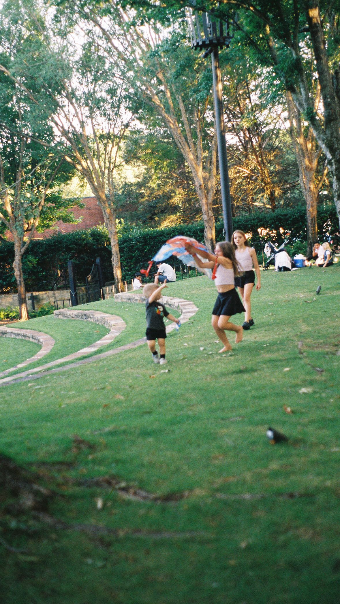 People performing cartwheels and flips on a grassy hillside.