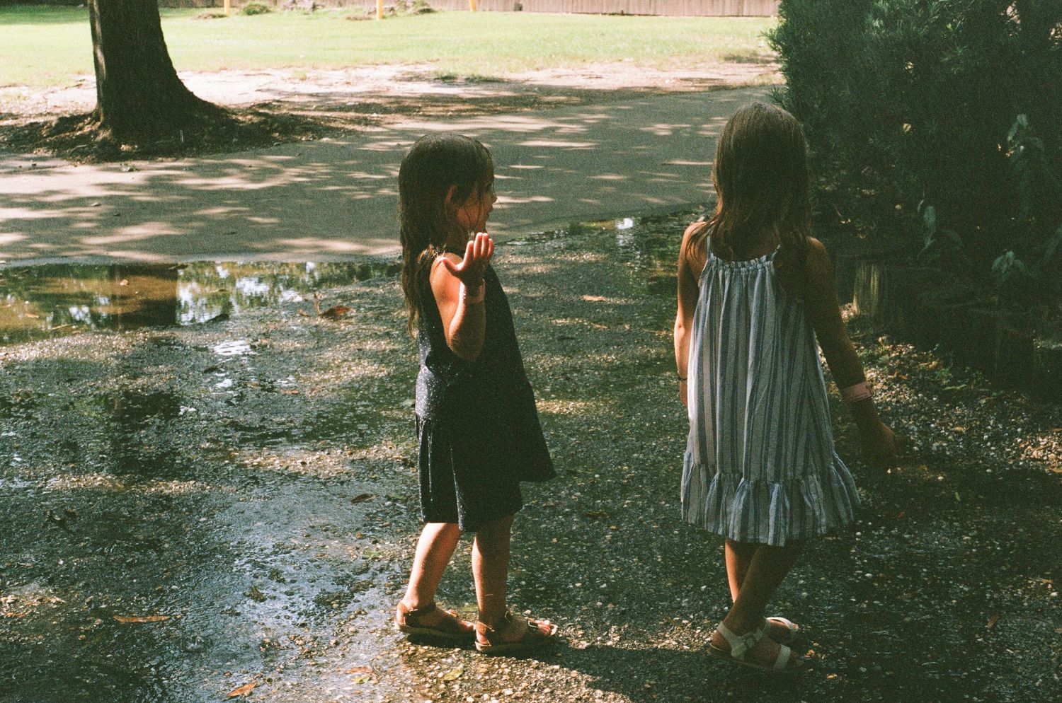 Friends enjoying a playful moment in a sunlit garden area.