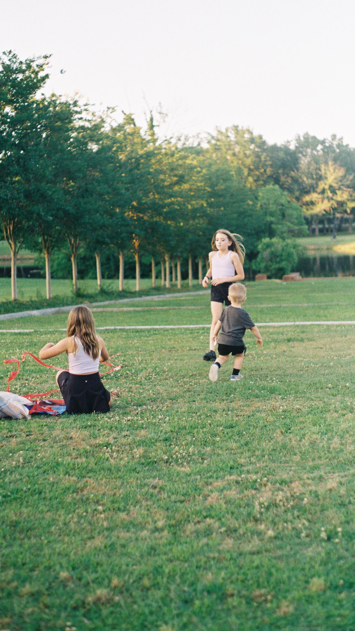 Children playing and running in a grassy field lined with trees at sunset.
