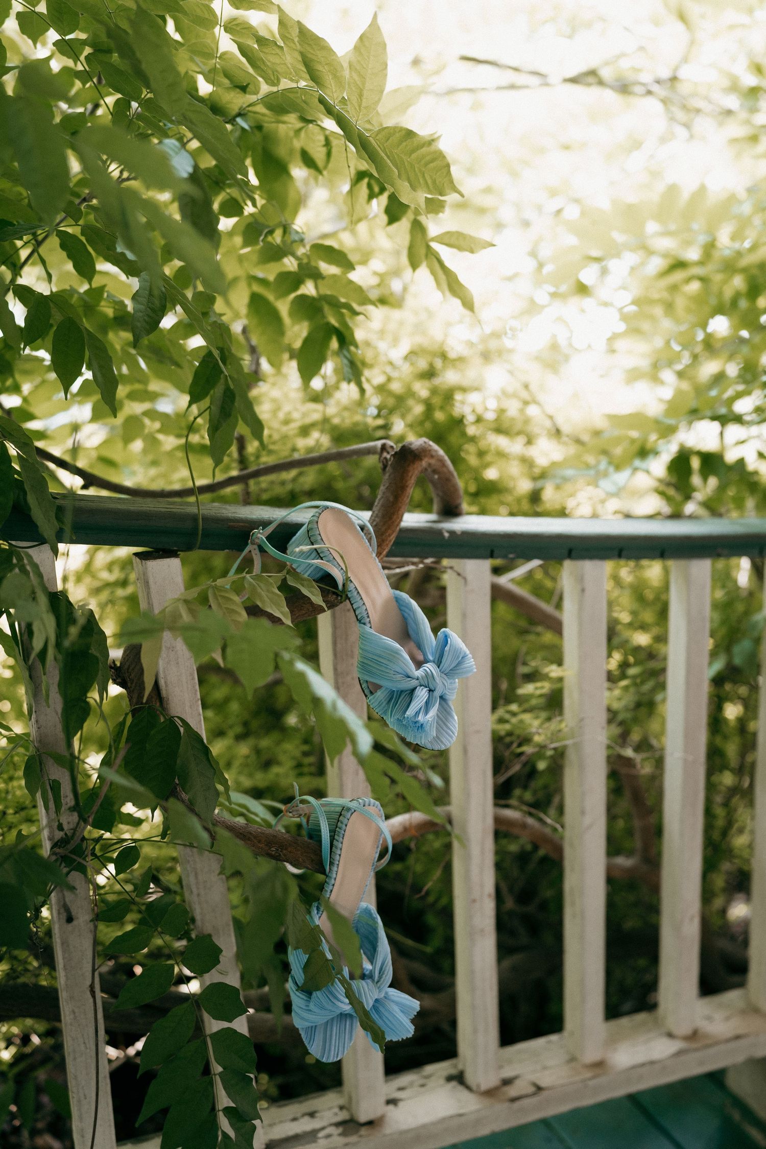 Light blue ribbons tied to a white wooden railing with green leaves in the background.