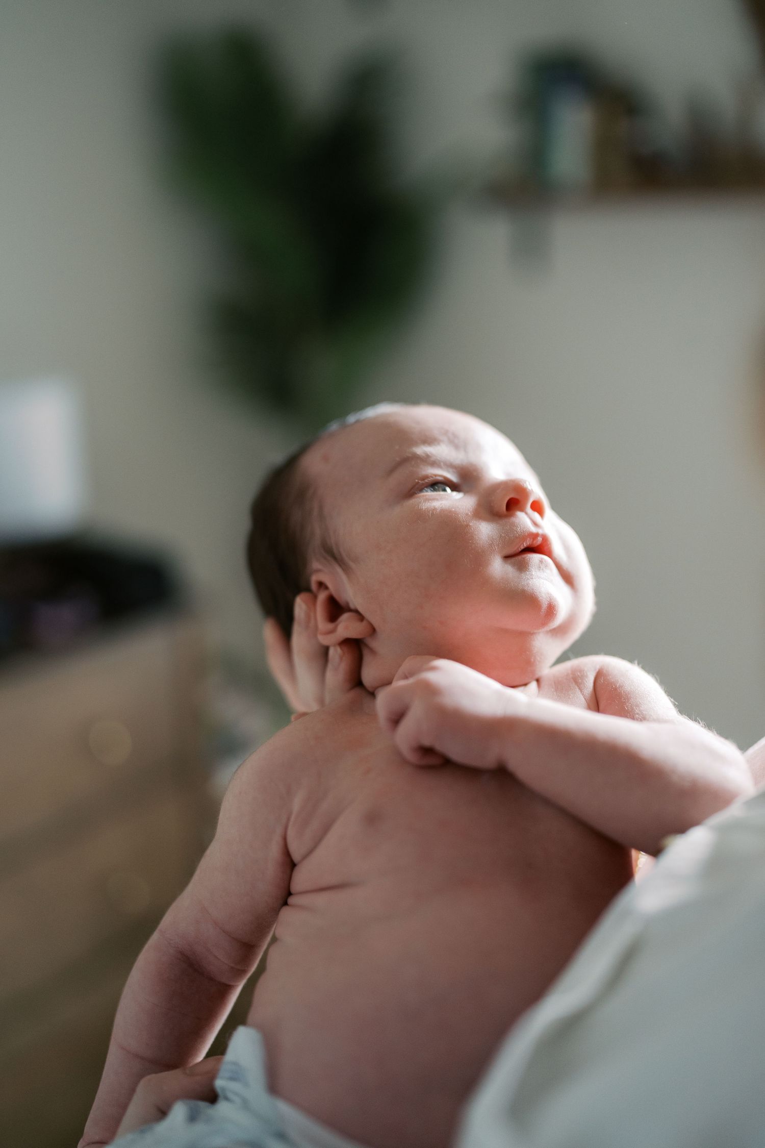 Close-up profile shots of a sleeping newborn baby showing delicate features.