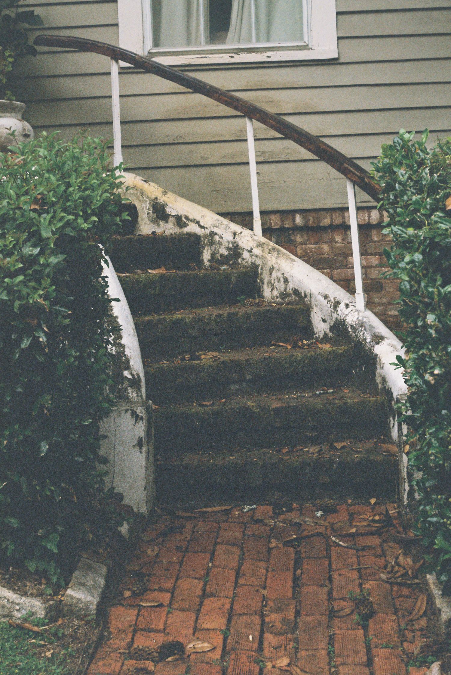 Deteriorating brick steps leading to a white siding house with overgrown vegetation.