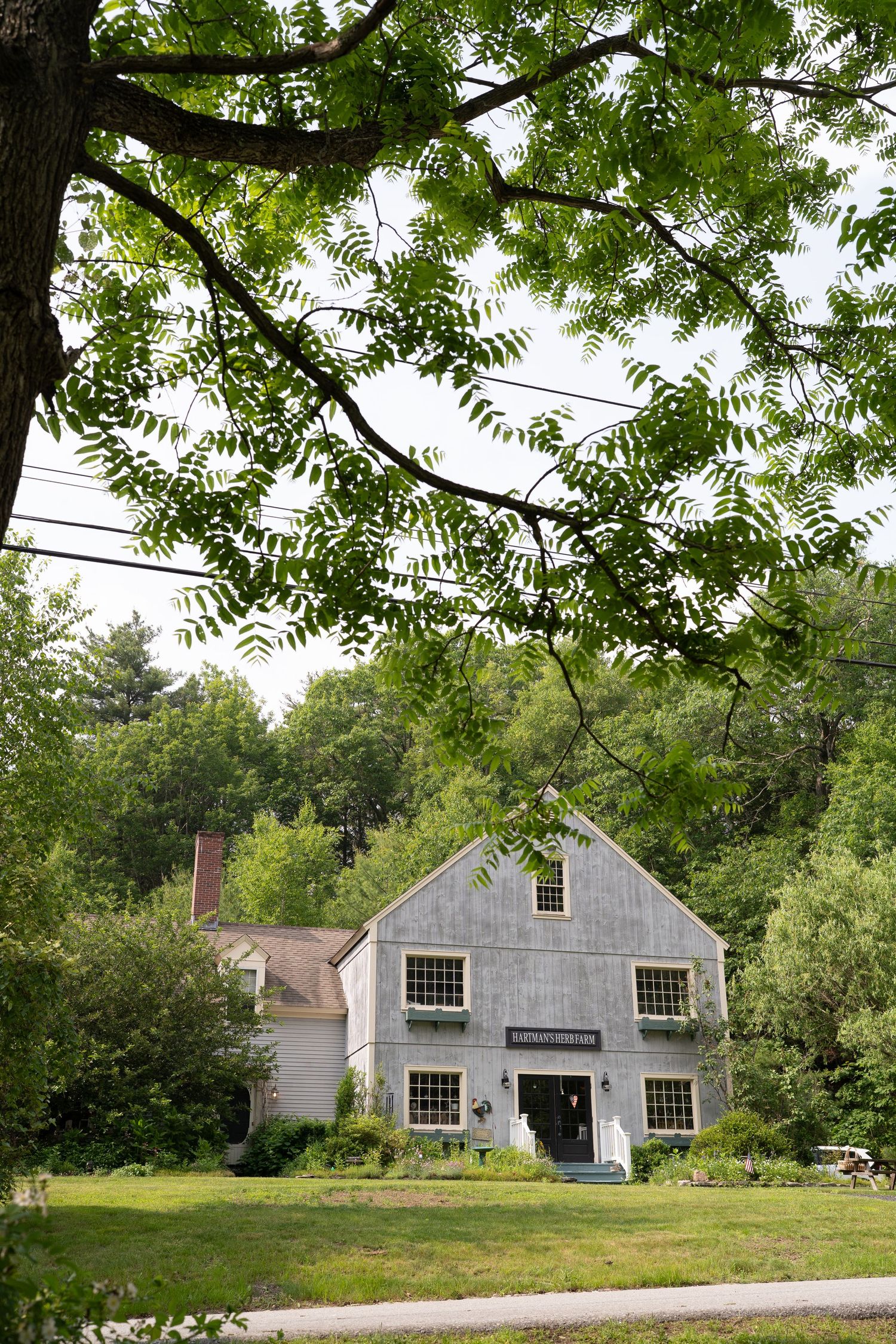 Historic white colonial buildings nestled among green trees on a sunny day.