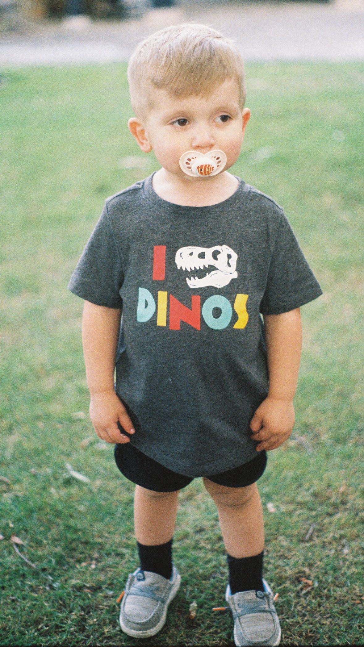 Young child wearing a gray dinosaur t-shirt and shorts standing on grass.