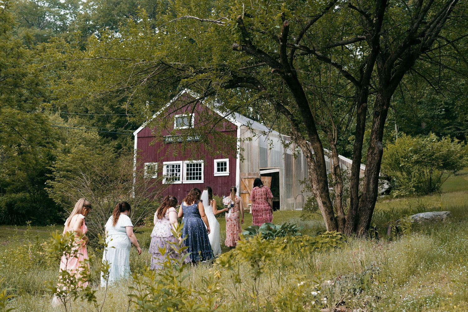 Wedding party gathered outside a rustic red barn in a pastoral countryside setting.