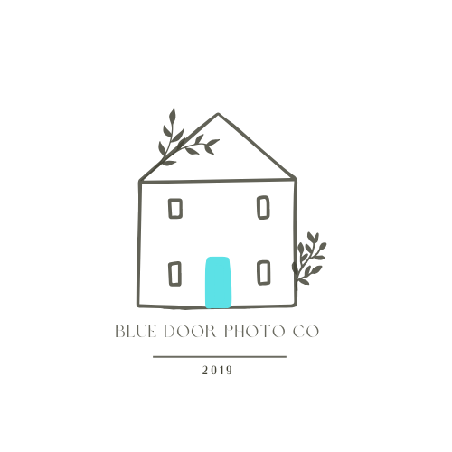 Minimalist house illustration logo with blue door and botanical elements for photography business.