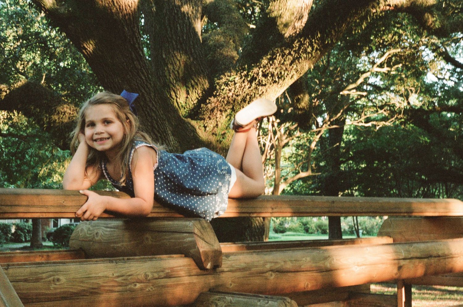 People lying on a large wooden surface or tree branch in dappled sunlight.