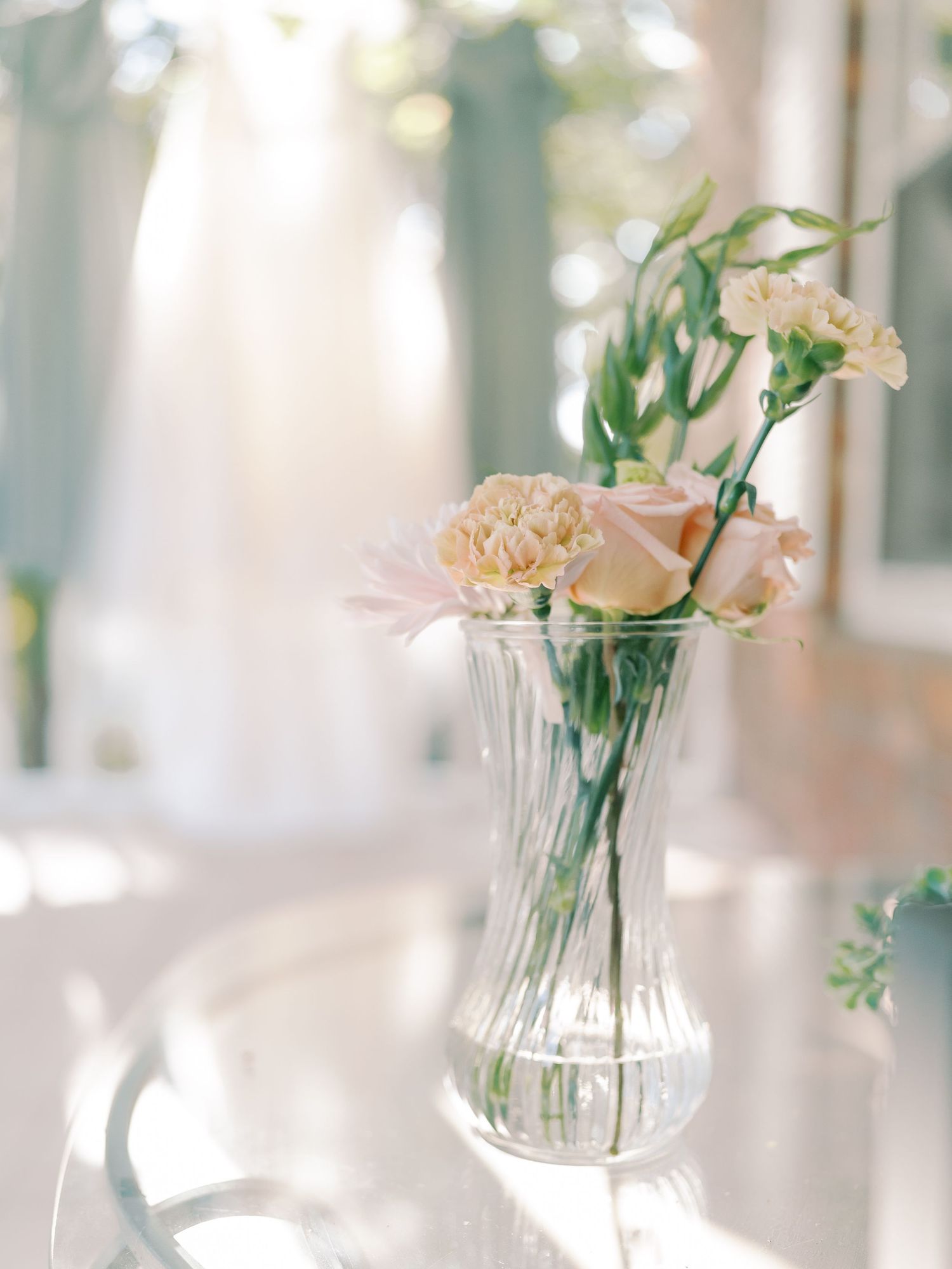 Delicate pink carnations in a crystal vase with soft natural lighting.