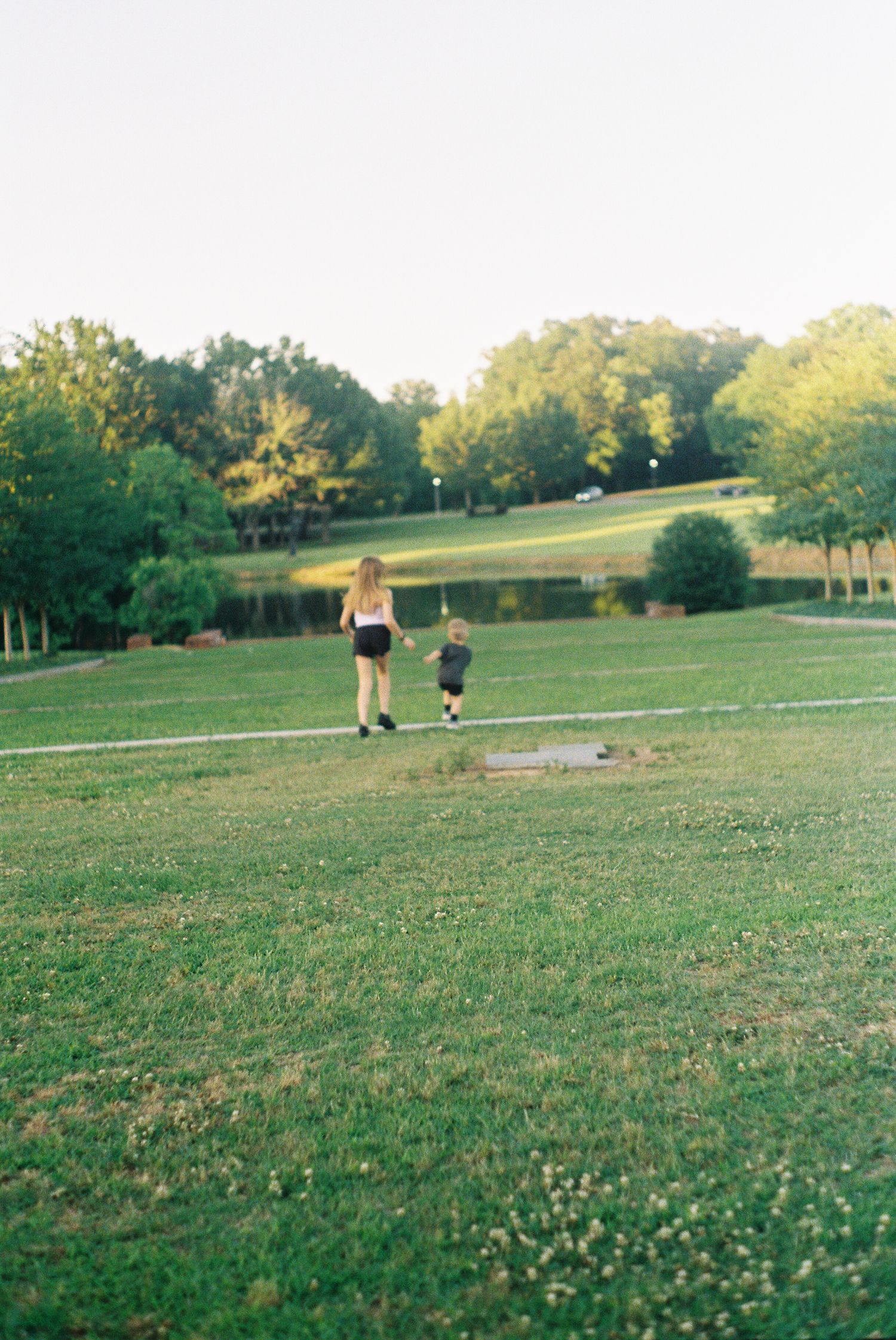 Wide view of a grassy park landscape with scattered people in the distance.