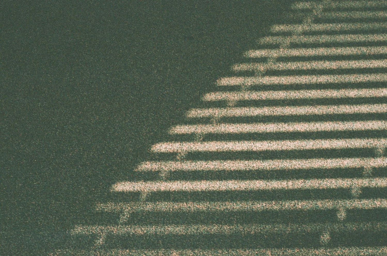 Diagonal shadow lines cast across a green textured surface.