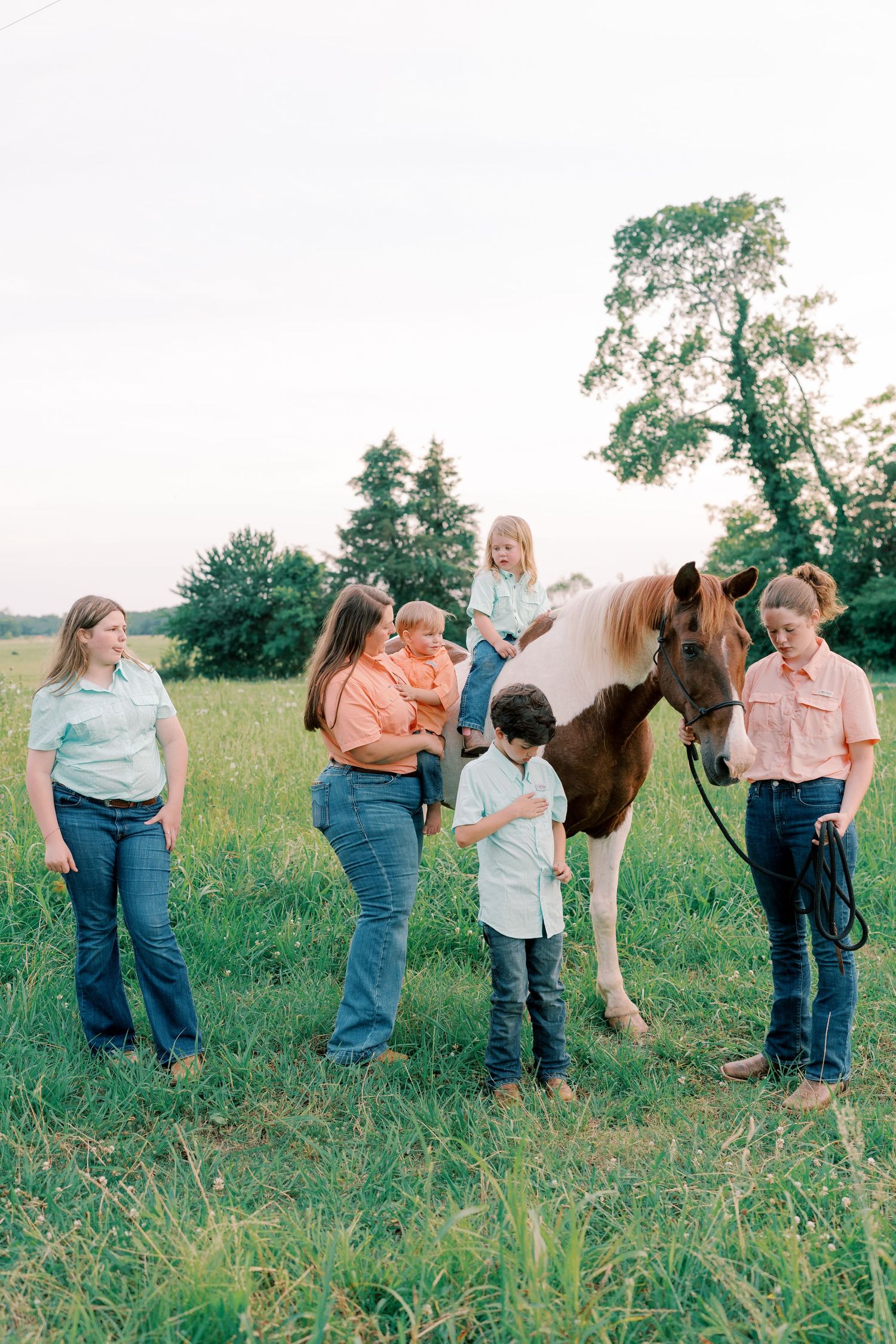 Group gathering around brown horse in sunny meadow for outdoor photos.