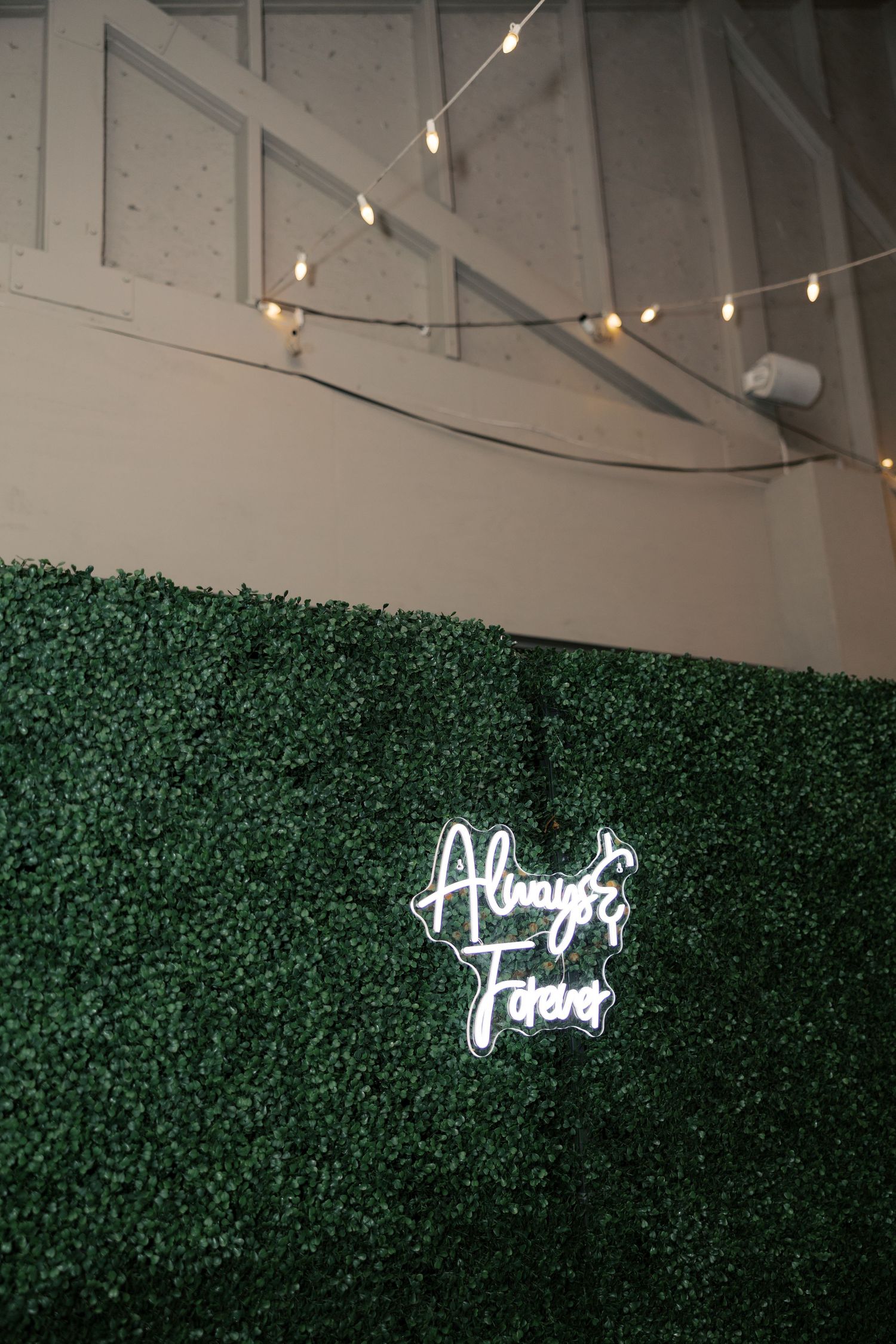 Green hedge wall with illuminated cursive neon sign and string lights above.