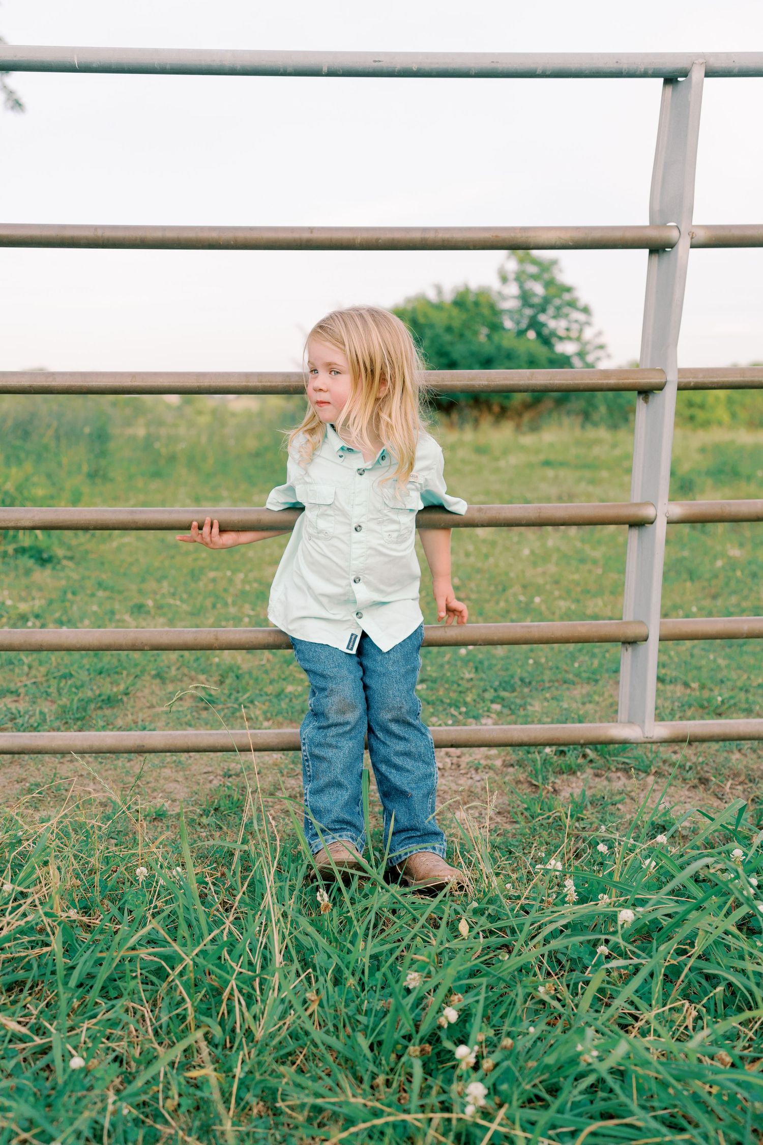 Child in white shirt and jeans stands by metal fence gate in grassy field.