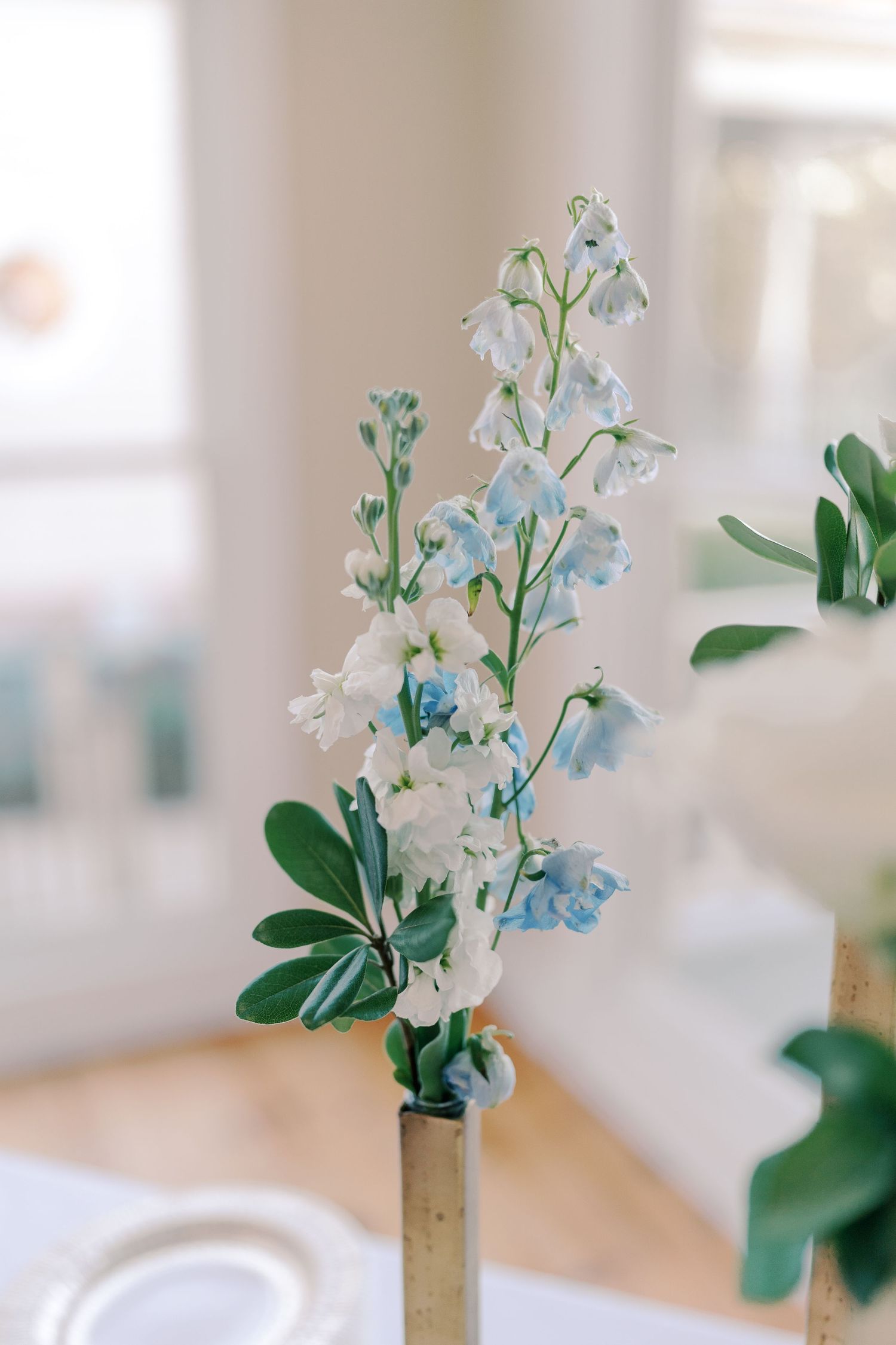 Delicate white orchids arranged in a simple gold vase against a bright window.