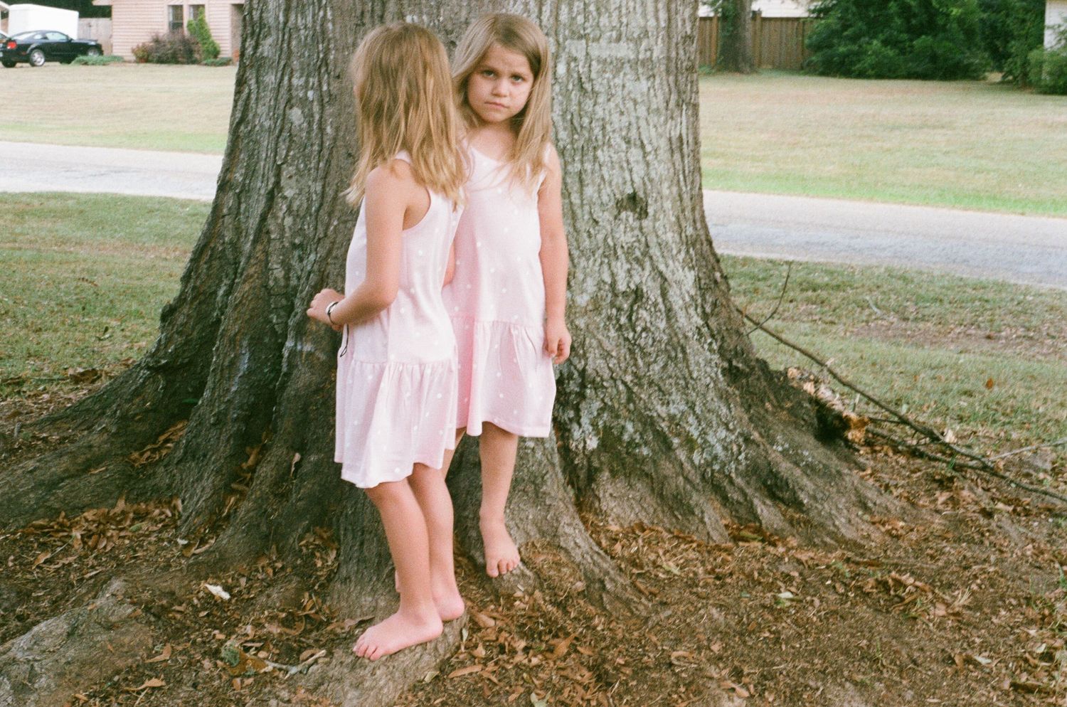 A pink dress sways near the base of a large tree trunk in natural outdoor lighting.