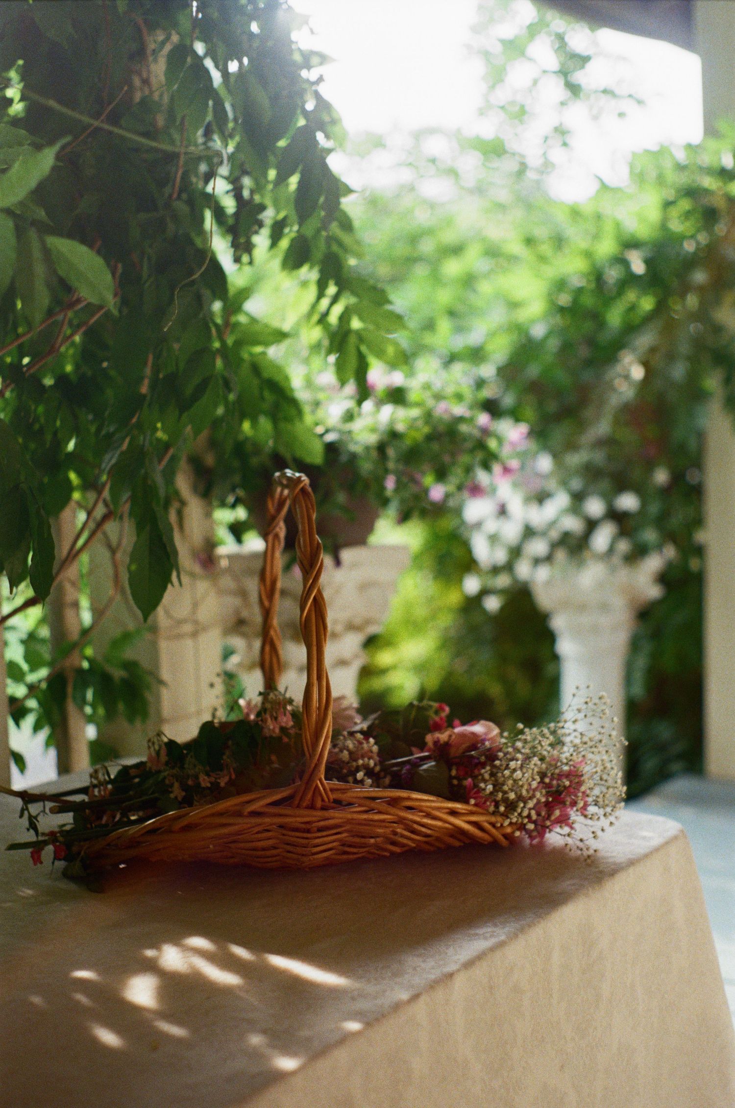 A rustic wooden basket with dried flowers sits on a sunlit table with greenery in the background.