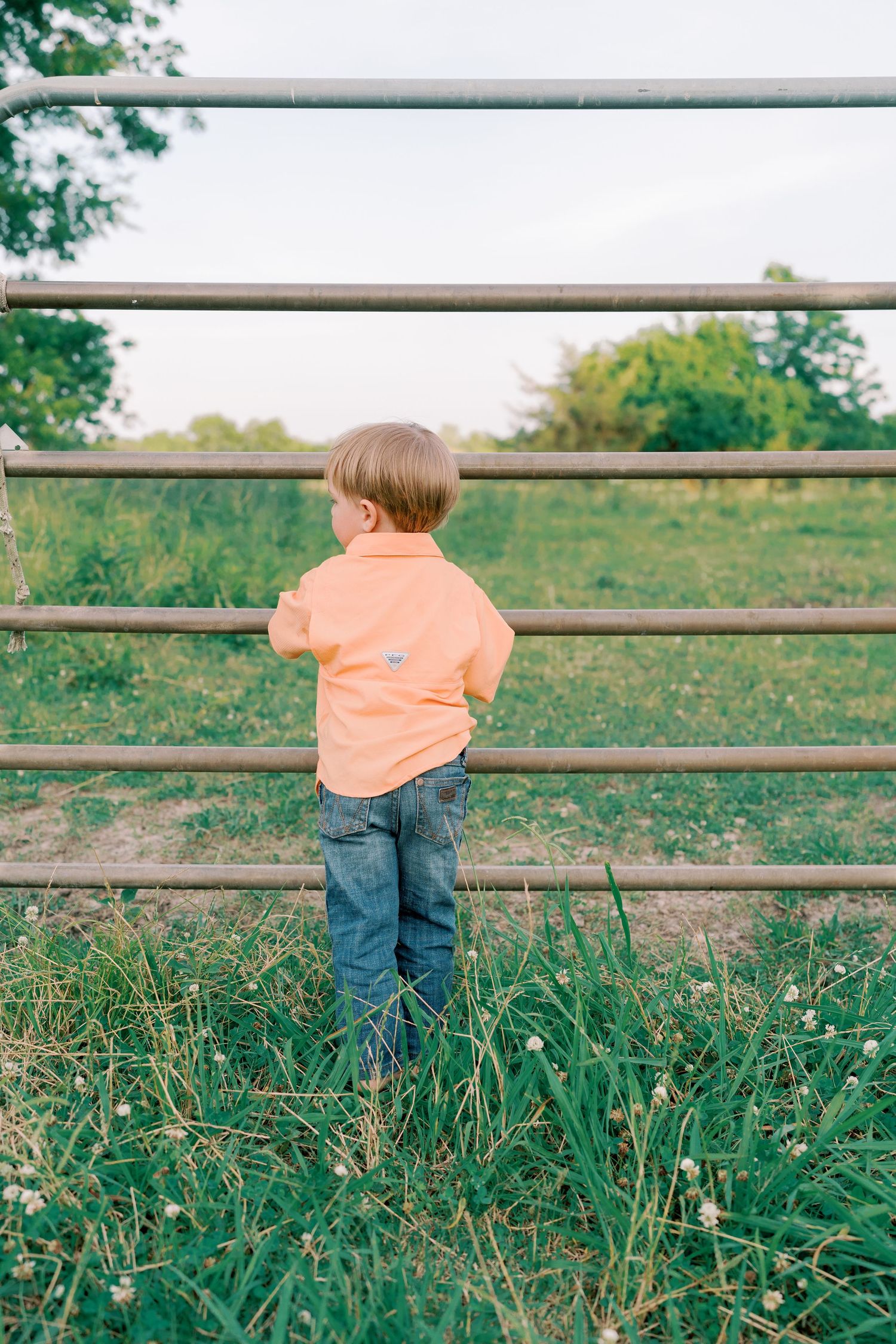 Child in orange shirt looks through metal fence gate in grassy field.