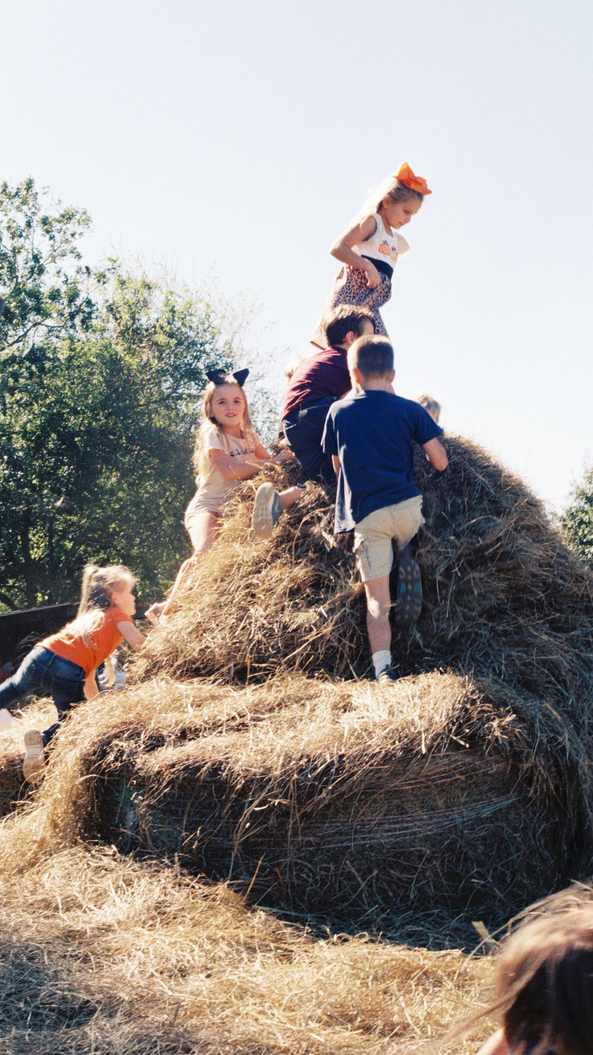 Children playing and climbing on large hay bales outdoors in natural sunlight.