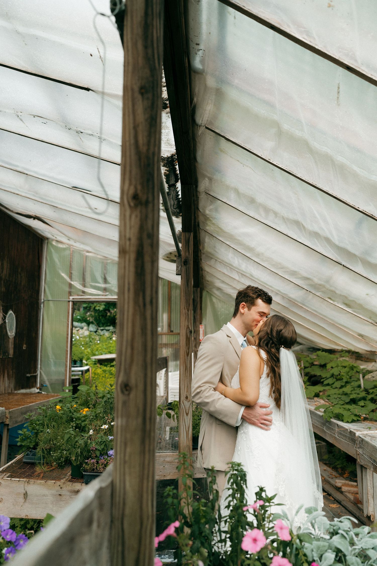 A romantic wedding moment captured in a greenhouse with wooden beams and purple flowers.