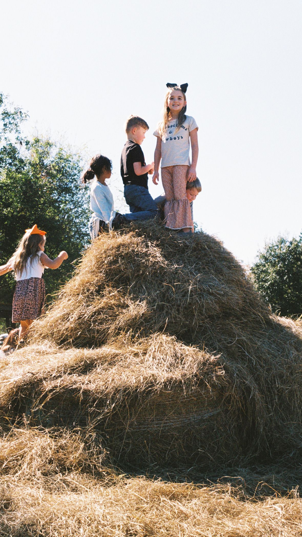 Group playing on a large hay bale stack in a field during summer.
